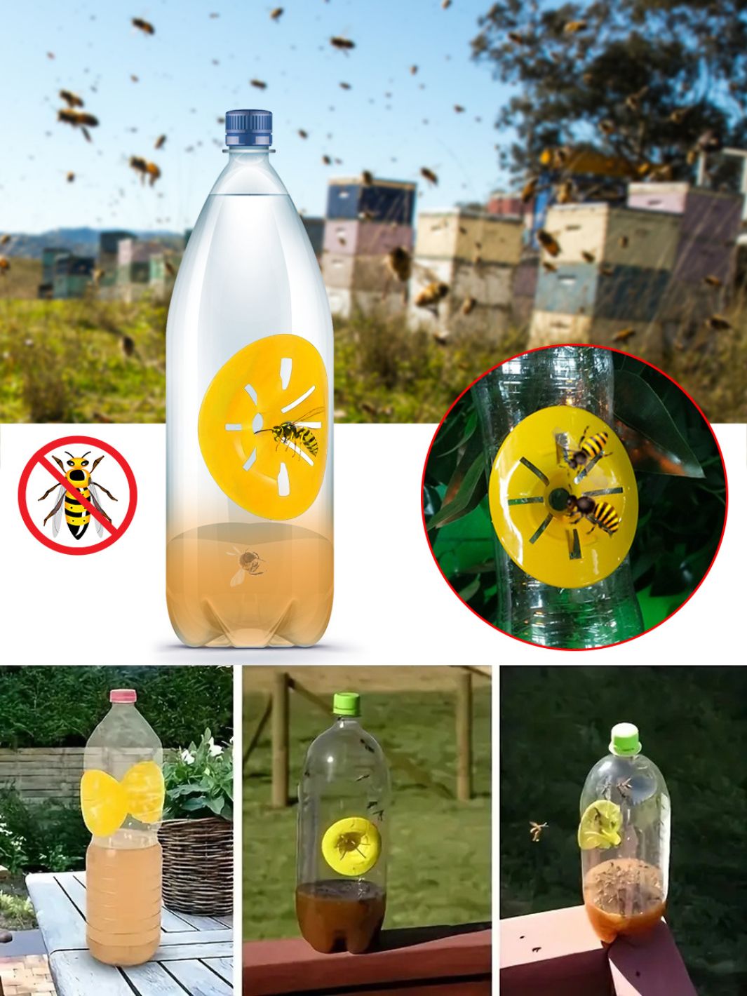 Piège à guêpes bouteille 4