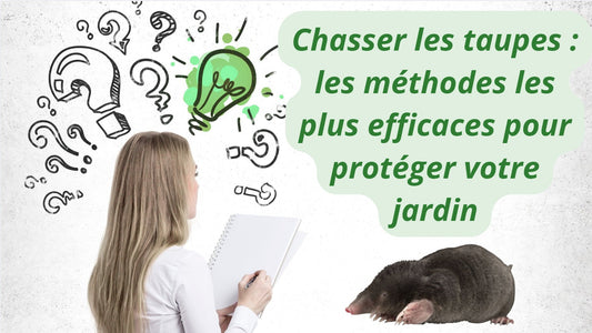 Chasser les taupes : les méthodes les plus efficaces pour protéger votre jardin
