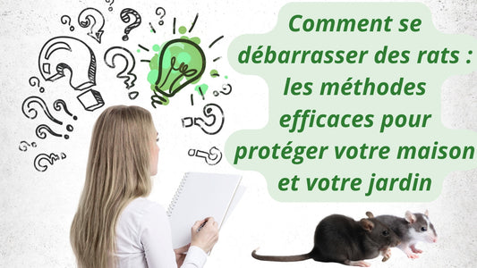 Comment se débarrasser des rats : les méthodes efficaces pour protéger votre maison et votre jardin