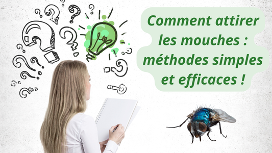 Comment attirer les mouches : méthodes simples et efficaces !
