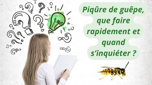 Piqûre de guêpe, que faire rapidement et quand s’inquiéter ?