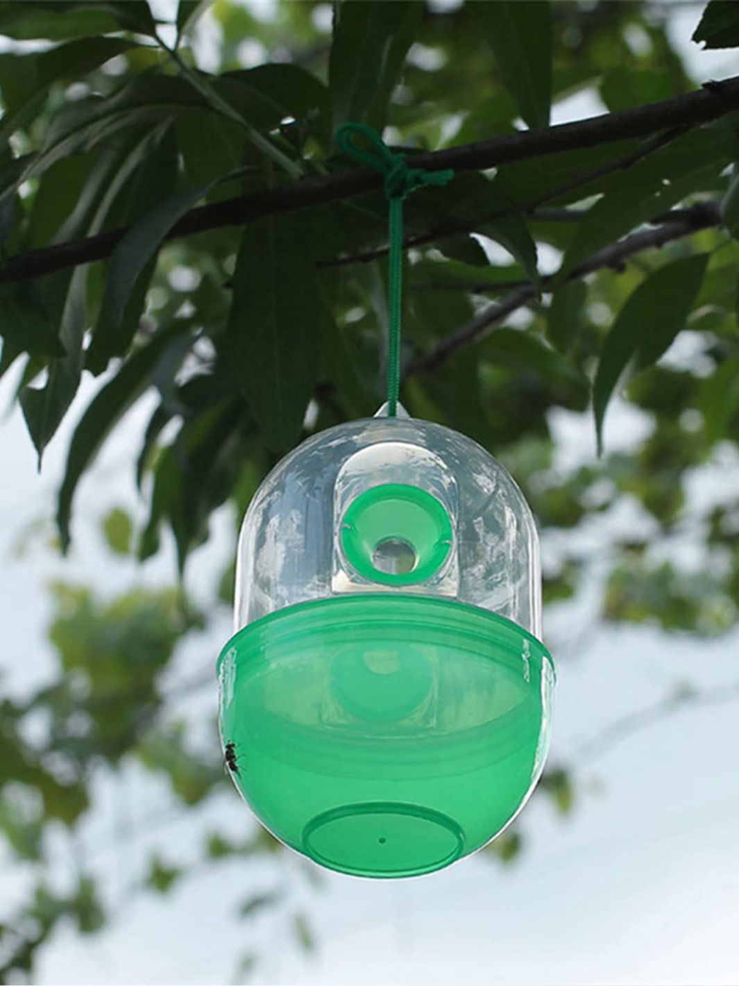 Piège à mouches / guêpes AeroTrap 2