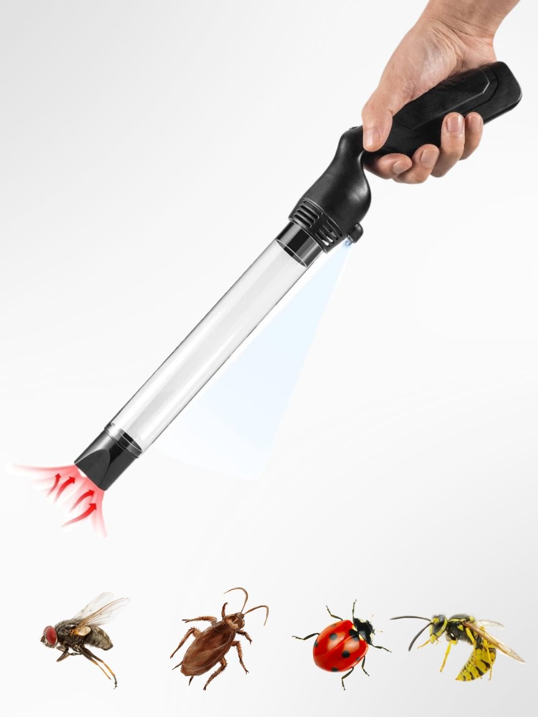 Aspirateur à insectes 2