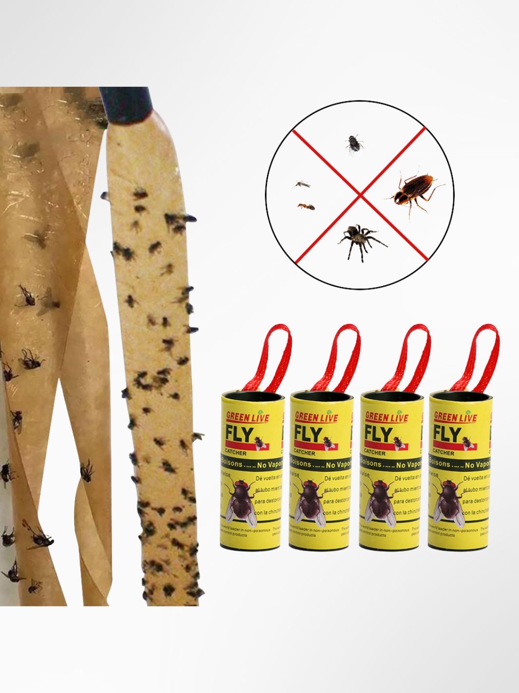 Attrape mouche ruban 2