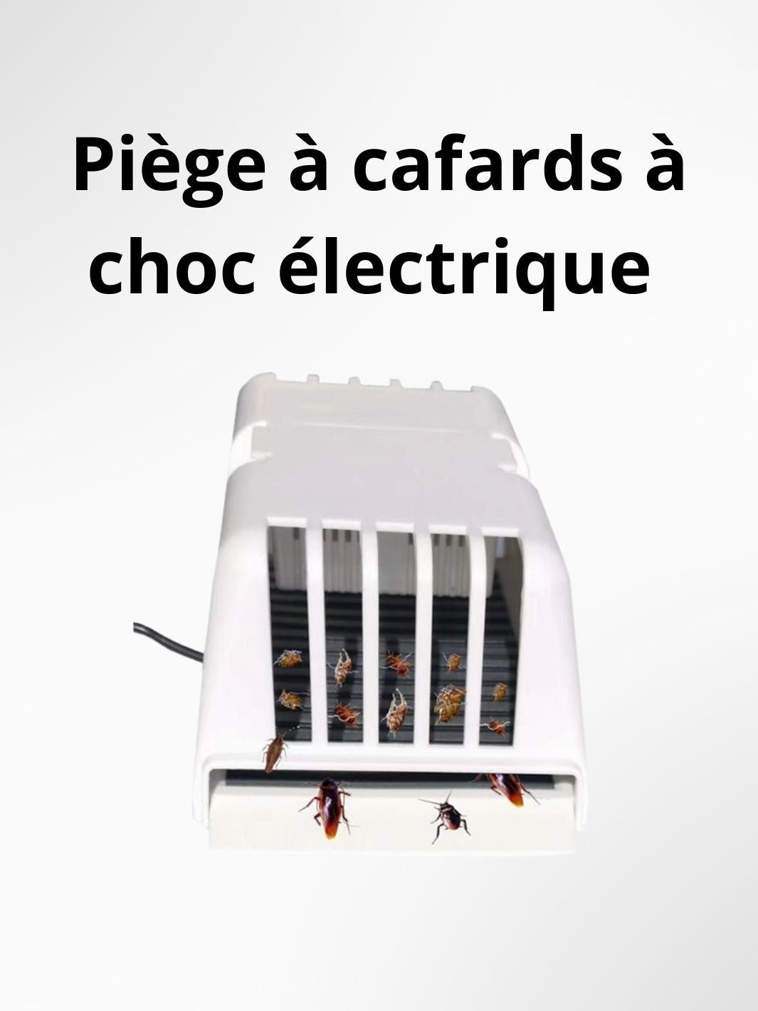 Piège à cafards électrique 2