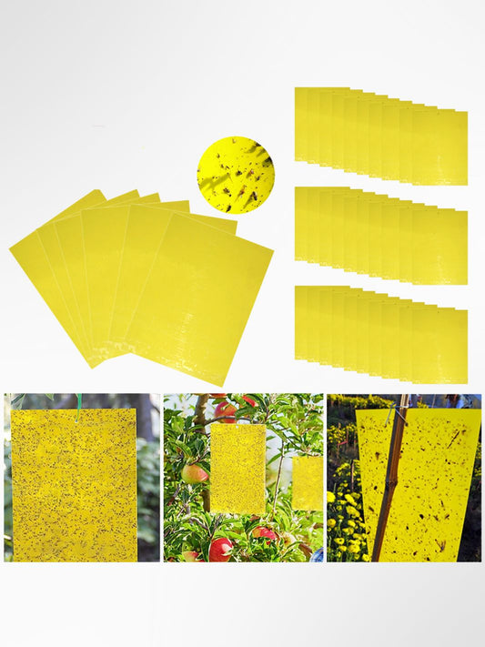 Piège à mouches / moustiques collant NaturaGlue 1