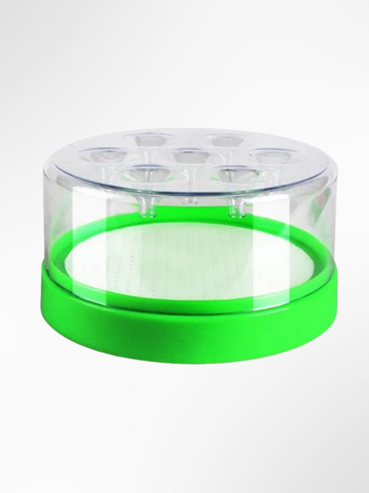 Piège à mouches Box 1