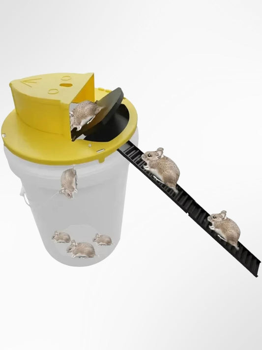 Piège à rat / souris FlipTrap 1