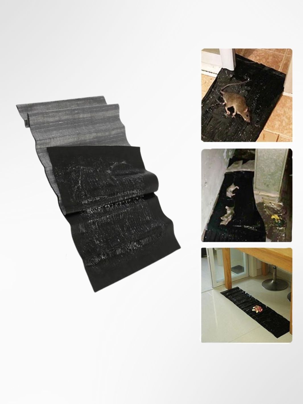 Piège à rat / souris GlueMax 2