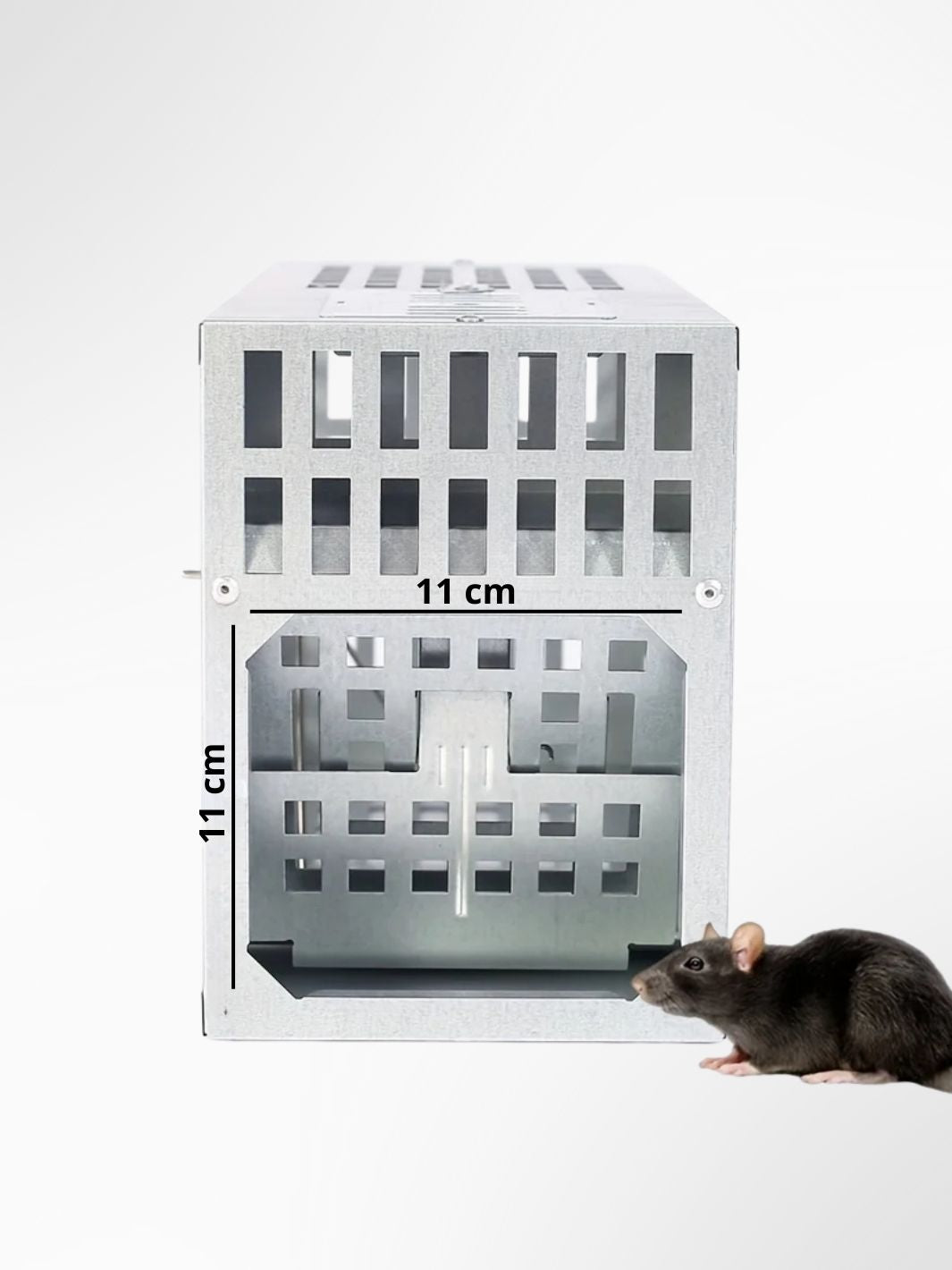Piège à rat / souris MultiCatch Pro 5