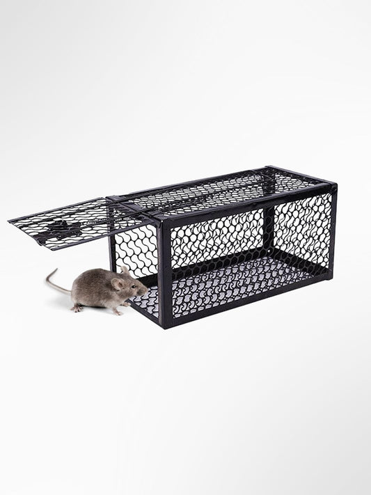 Piège à rat / souris cage 1
