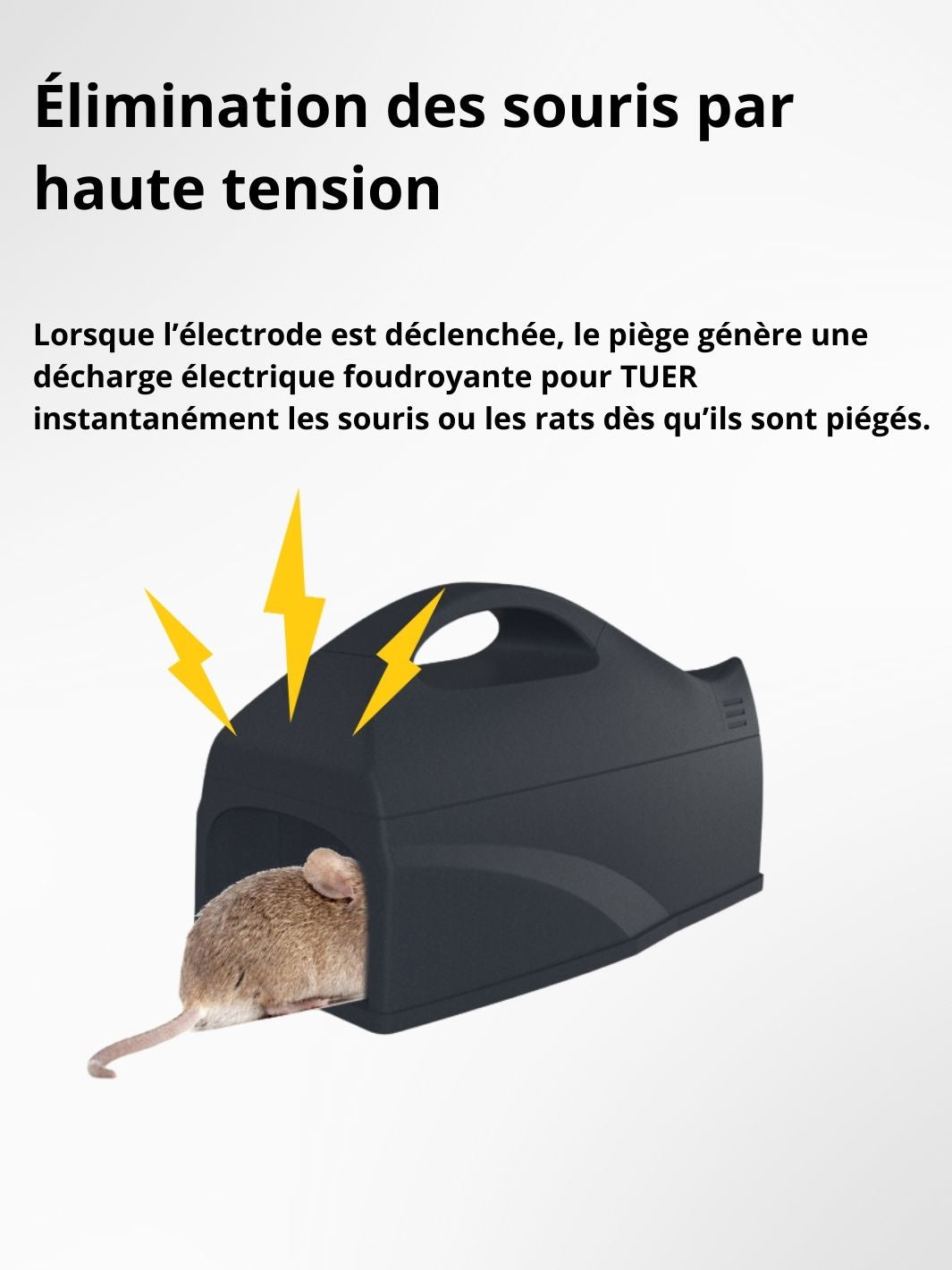Piège à rats / souris WiSmart Pro 2