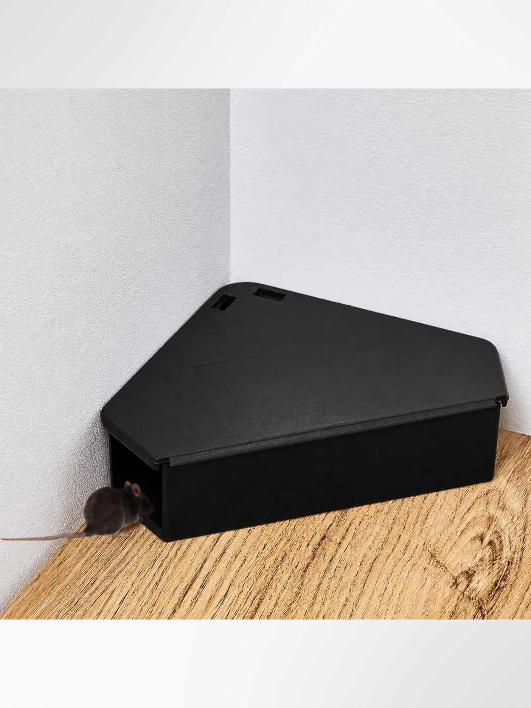 Piège à souris d’angle
