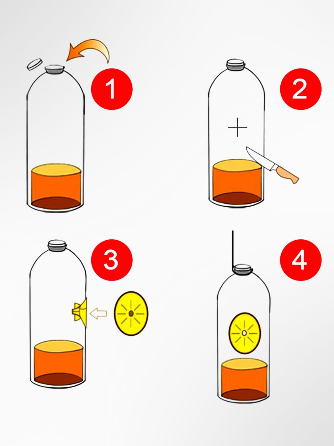 Piège à guêpes bouteille 3